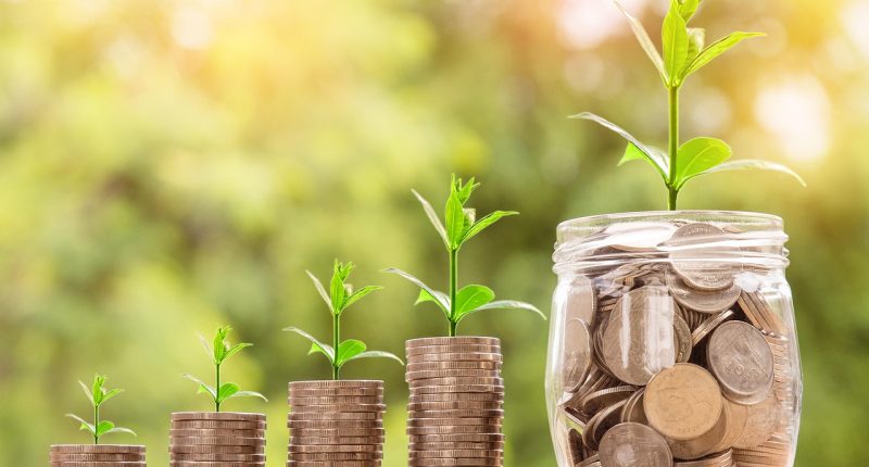 7 best stable coins 2026 - Finances Tips