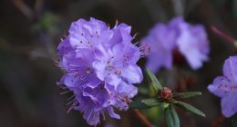 upcoming launchpool in april 2026 - Finances Tips