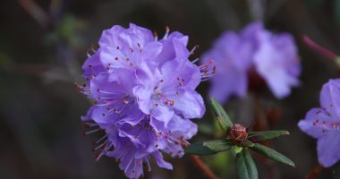 upcoming launchpool in april 2026 - Finances Tips