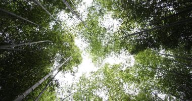 Binance VS ByBIT - Finances Tips