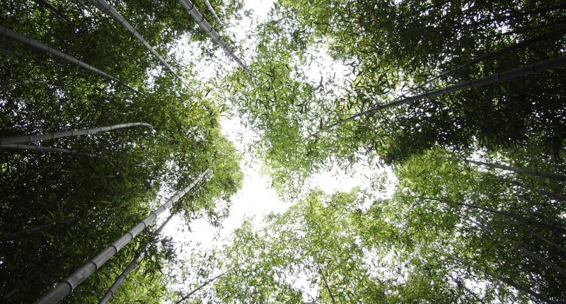 Binance VS ByBIT - Finances Tips