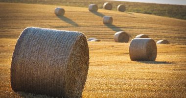 Tokenized US Treasury bills yield - Finances Tips