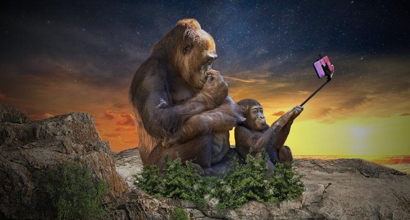 Thailand Mobile expo 2026 - Finances Tips