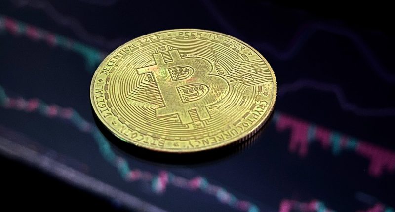 best crypto for beginners - Finances Tips