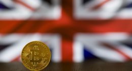 best crypto portfolio strategy - Finances Tips