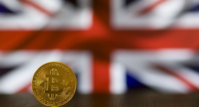 best crypto portfolio strategy - Finances Tips