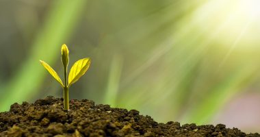 how to use chatgpt for business automation - Finance Tips