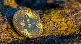 crypto launchpad guide 2026 - Finances Tips