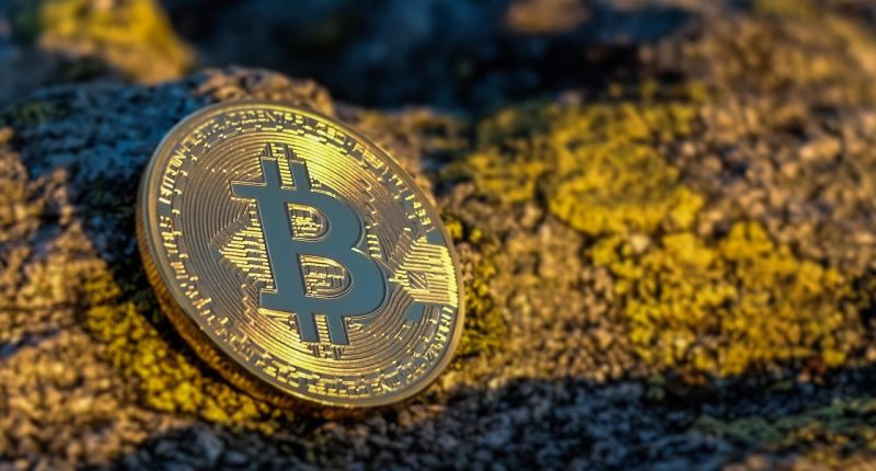 crypto launchpad guide 2026 - Finances Tips